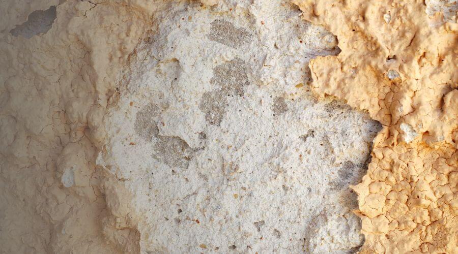 Why choose Fortress Restoration Group for water damage restoration in North Haven